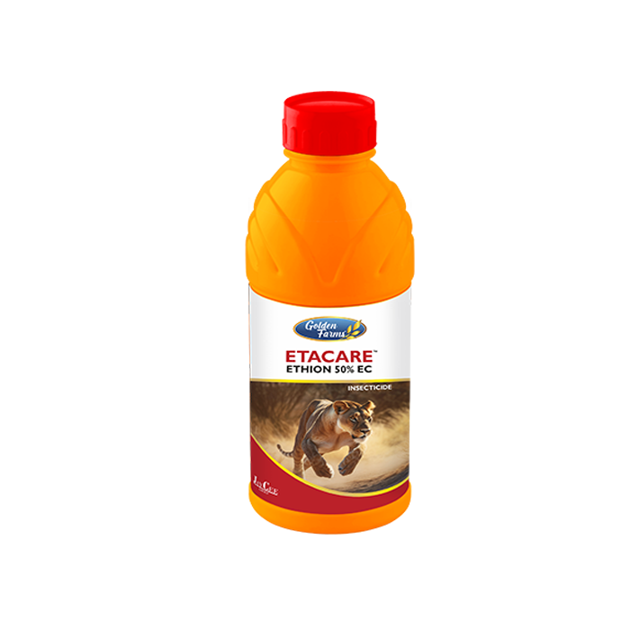 Etacare