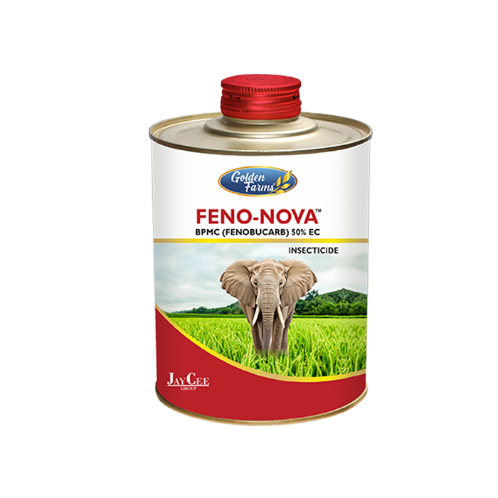 Feno Nova