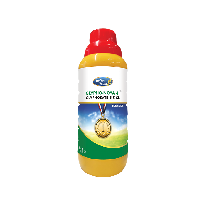 Glypho Nova 41