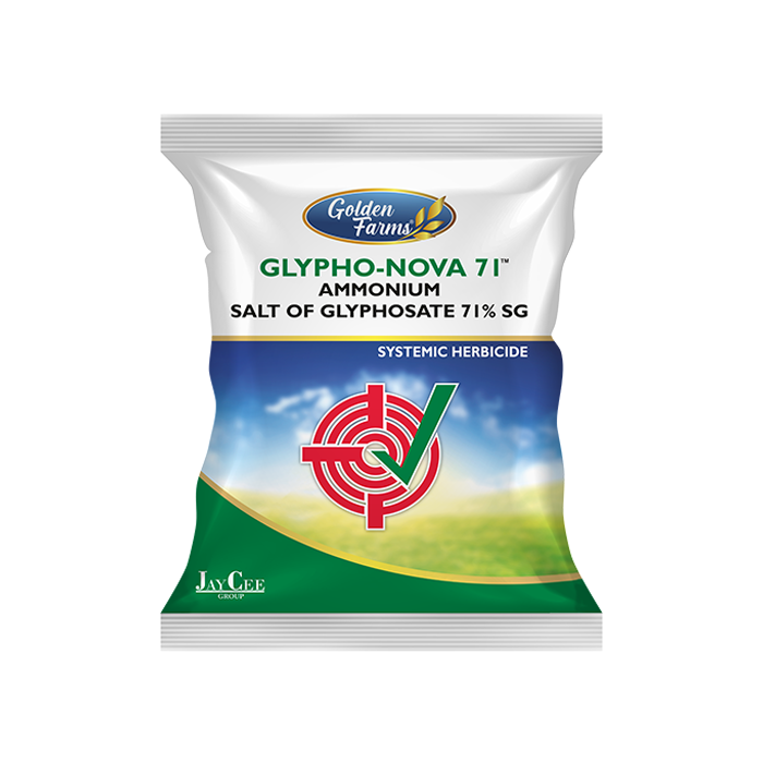 Glypho Nova 71