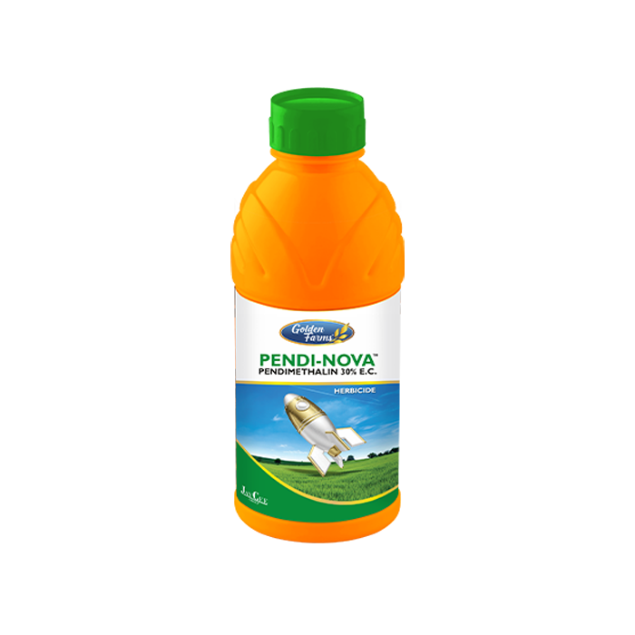 Pendi Nova